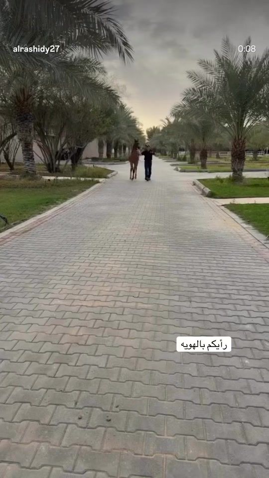 TikTok video thumbnail by du.x20