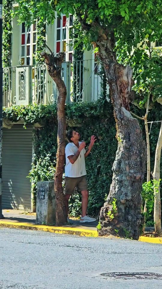 TikTok video thumbnail by hendersonjohan