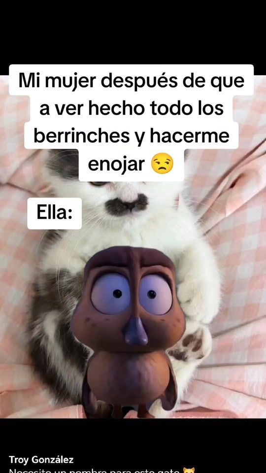 TikTok video thumbnail by adonayaguirre7