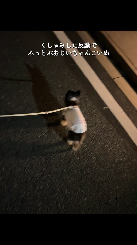 TikTok video thumbnail by pochan0710