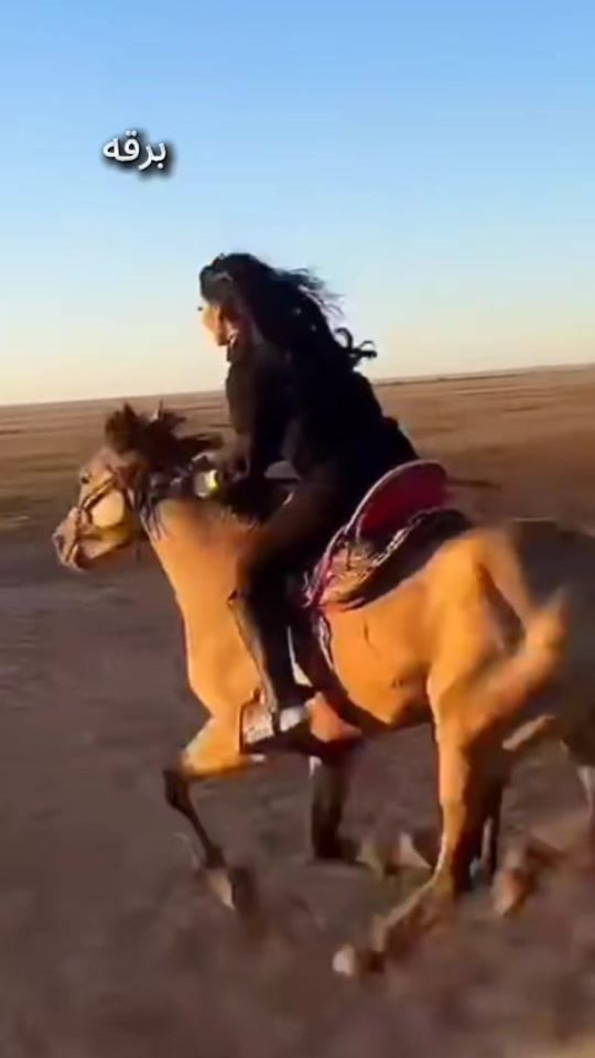 TikTok video thumbnail by user6695305912976