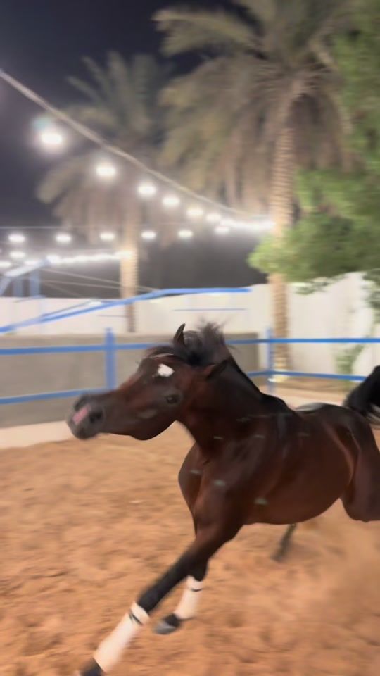 TikTok video thumbnail by b3d_8