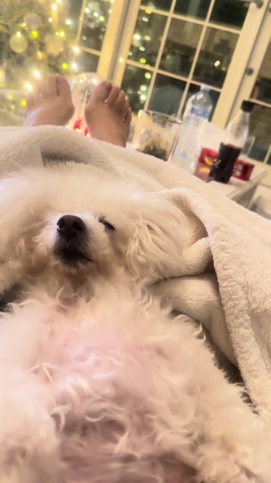 TikTok video thumbnail by tomo_5_25