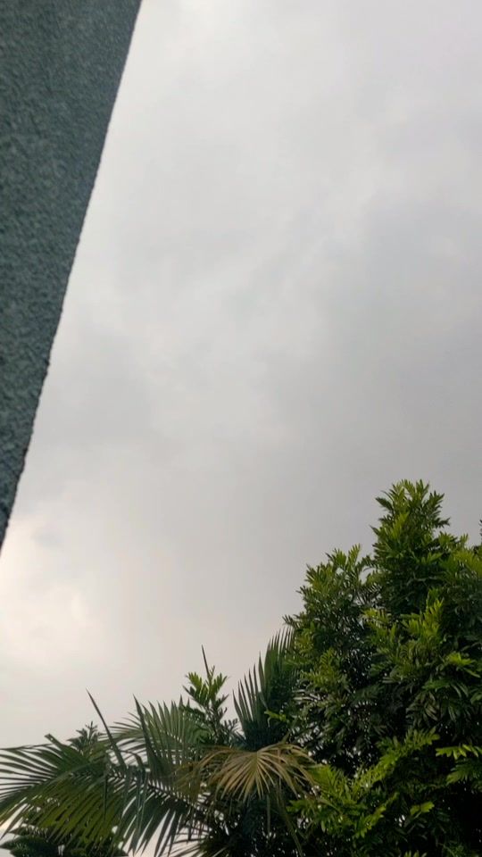 TikTok video thumbnail by muzi.comedy