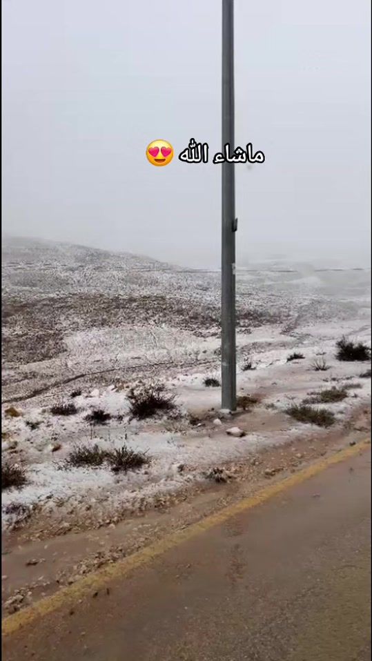 TikTok video thumbnail by shaghaf_3.6.9