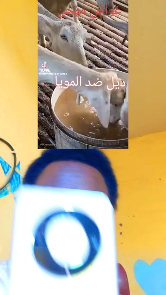 TikTok video thumbnail by user2726968794611