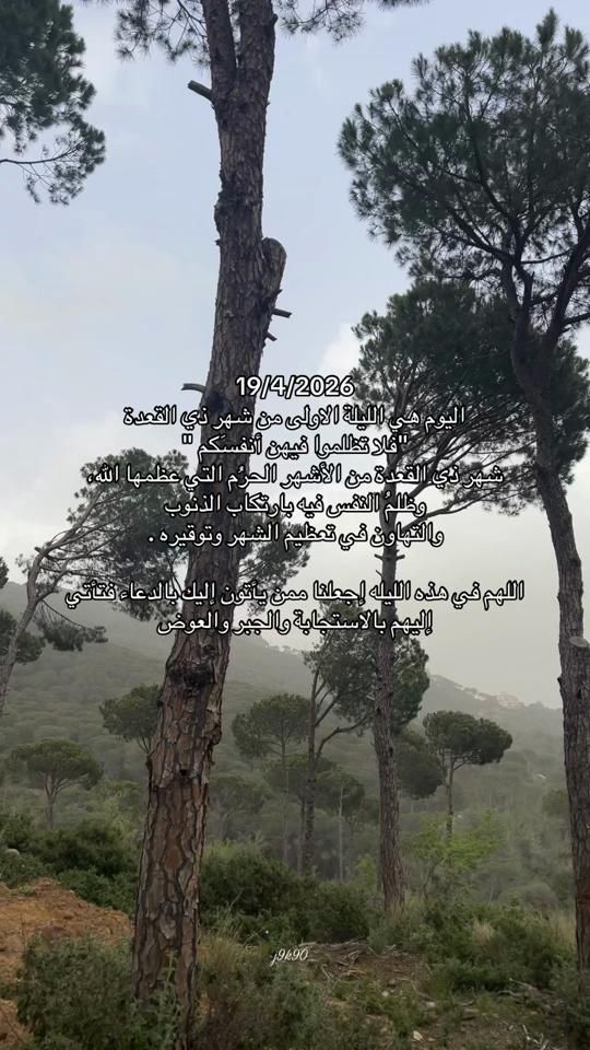 TikTok video thumbnail by j9k90_