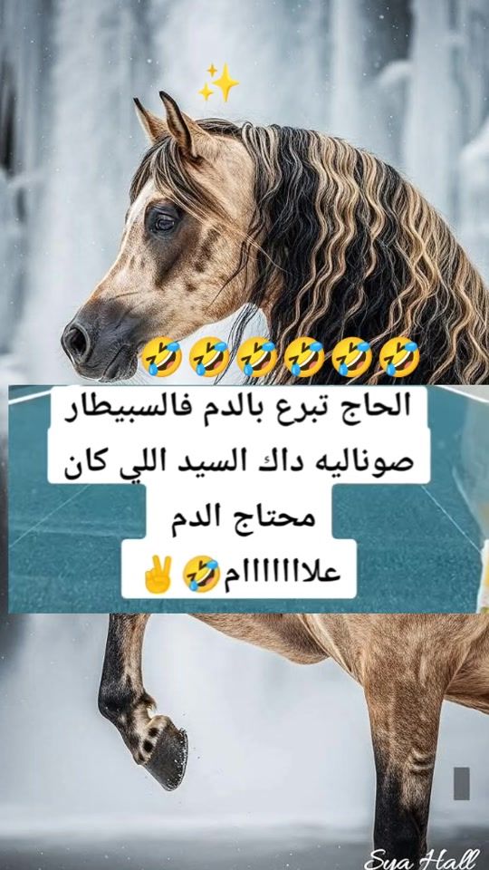 TikTok video thumbnail by scorpio_100simo