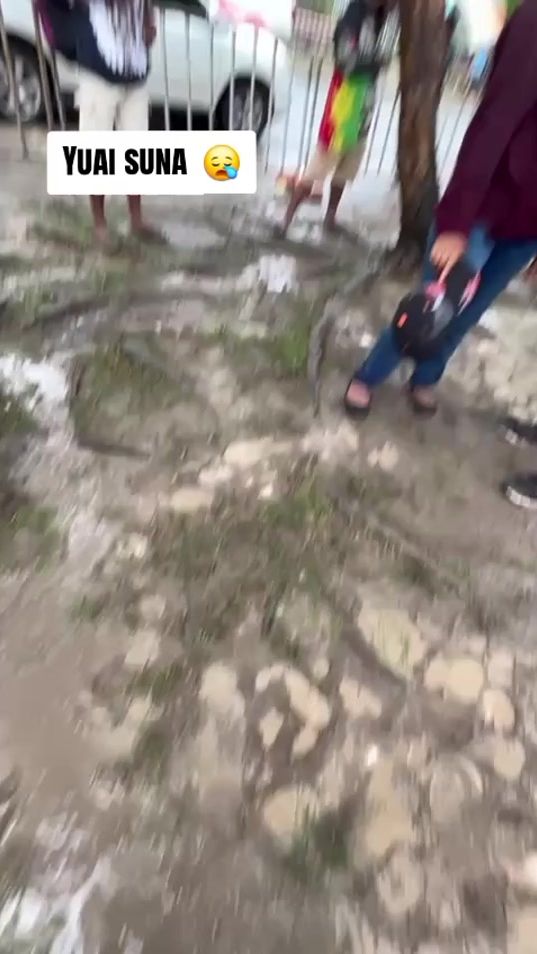TikTok video thumbnail by itzcolazaska27