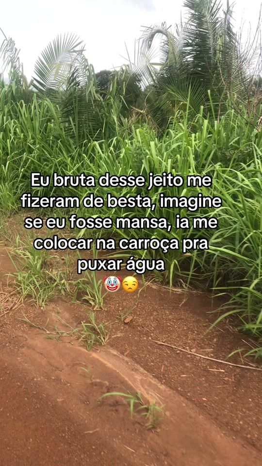 TikTok video thumbnail by fransouzza03