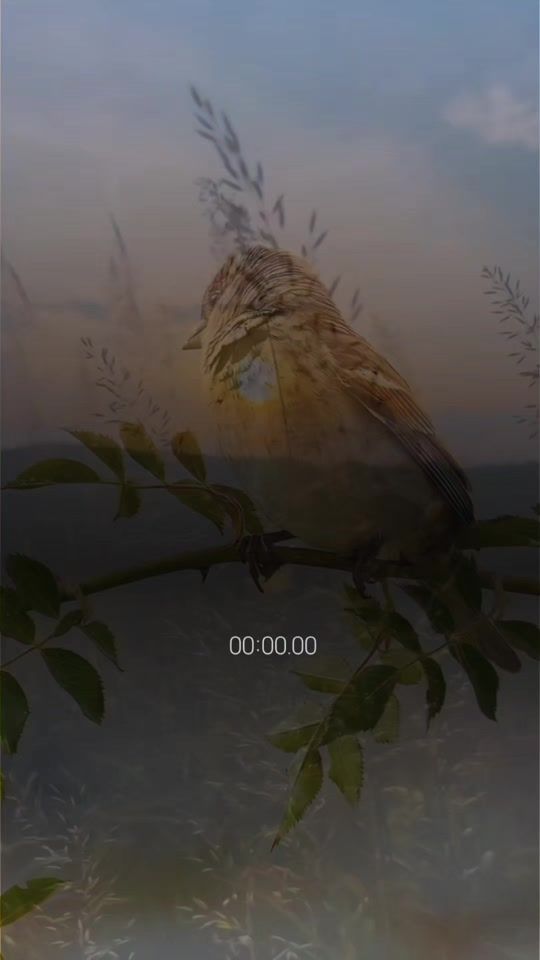 TikTok video thumbnail by w2024ard