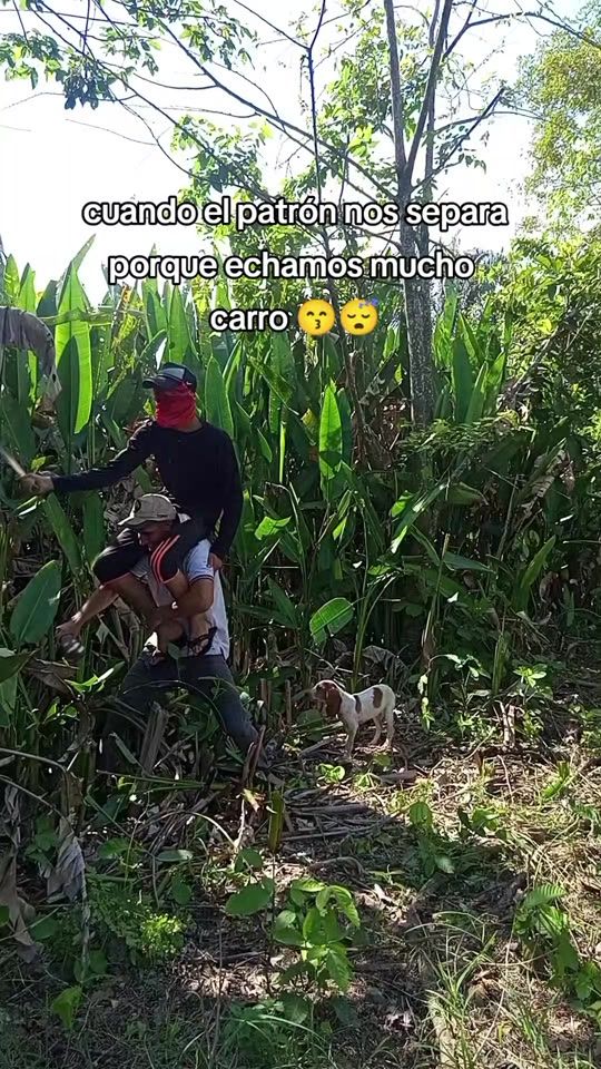 TikTok video thumbnail by chuy_rujano