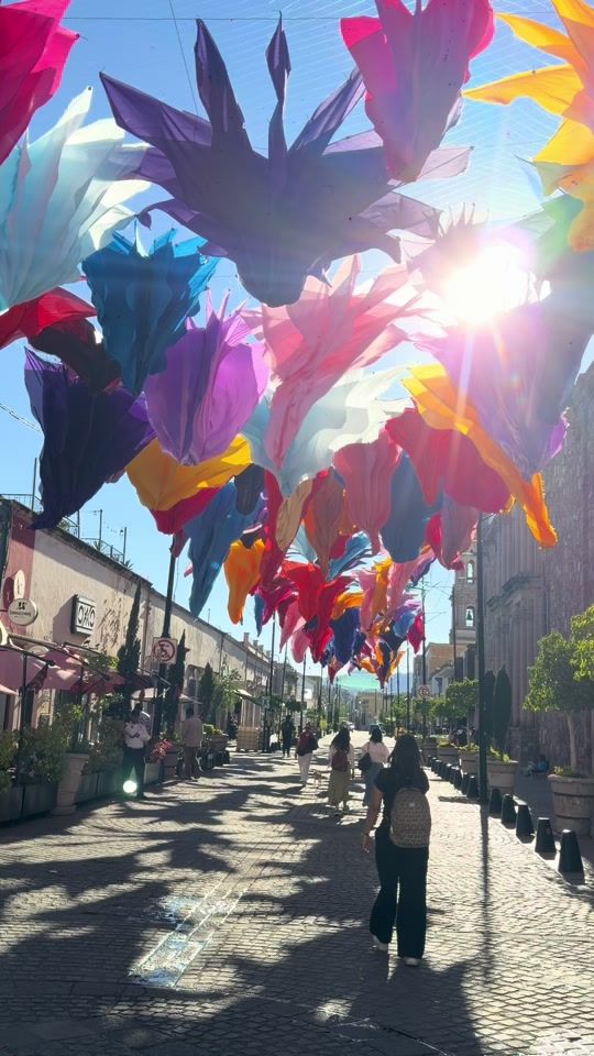 TikTok video thumbnail by _vivemexico_4