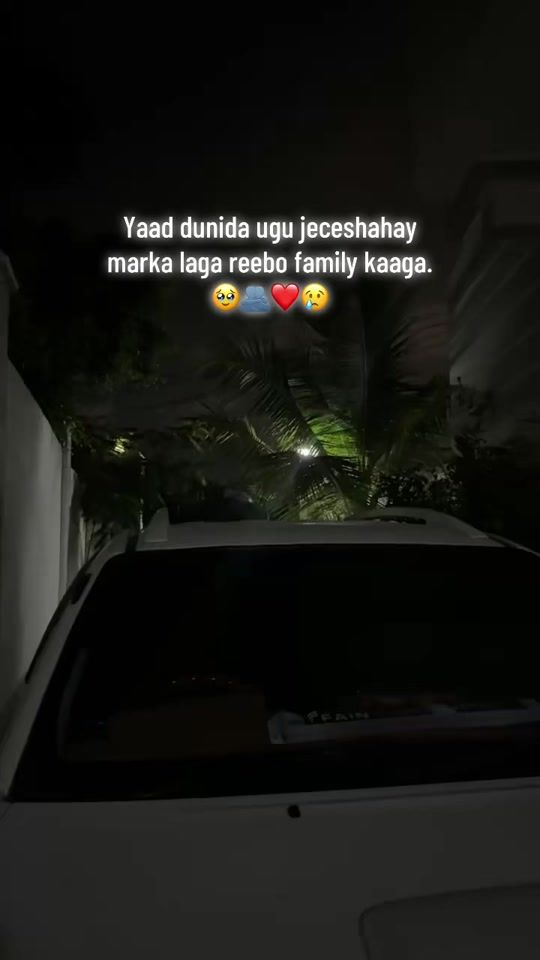TikTok video thumbnail by coldoon.85
