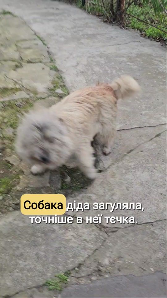 TikTok video thumbnail by _mari.luce_