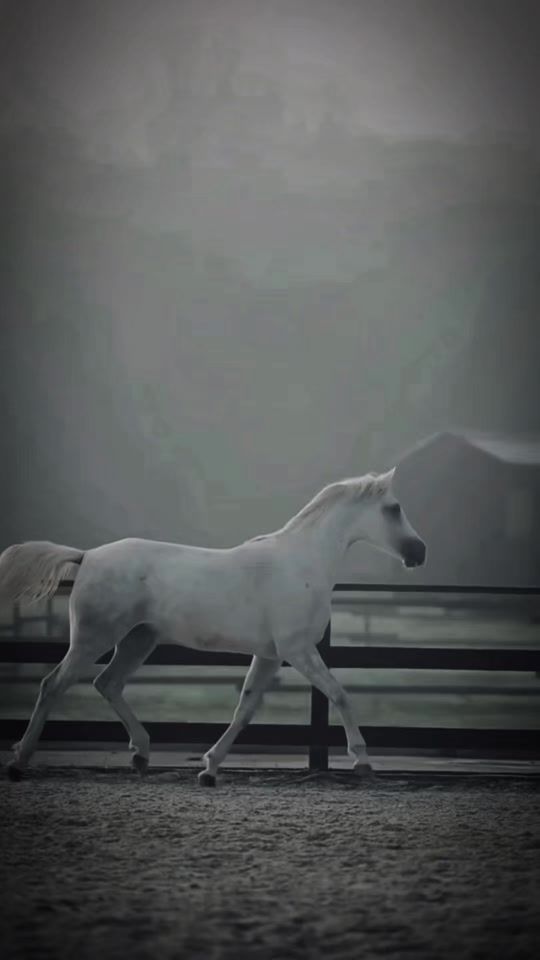 TikTok video thumbnail by ehlisunnet87
