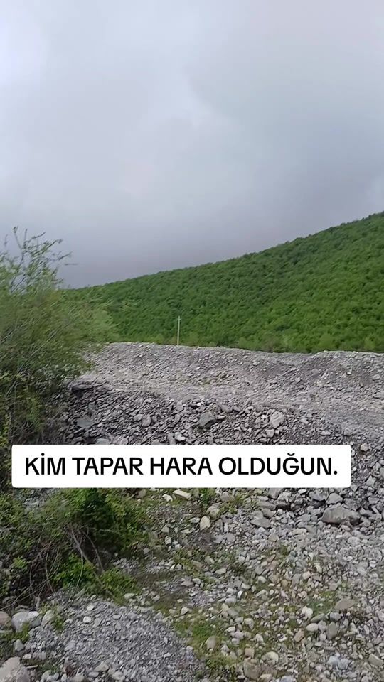 TikTok video thumbnail by blogger11