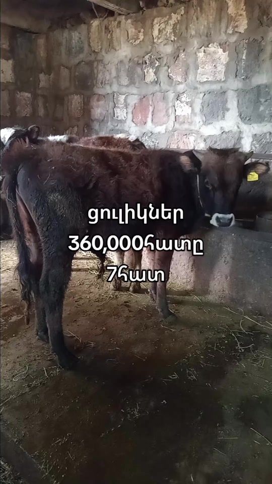TikTok video thumbnail by cleriarqvacharqarmavirum