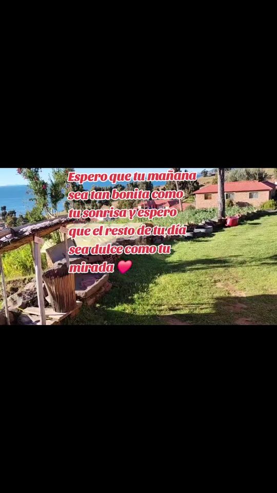 TikTok video thumbnail by any_468
