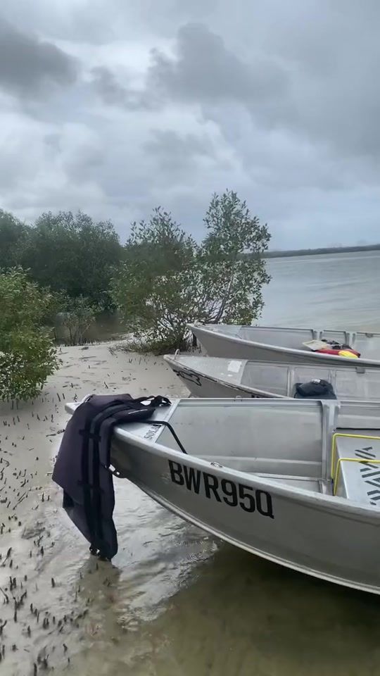 TikTok video thumbnail by paytonrollings