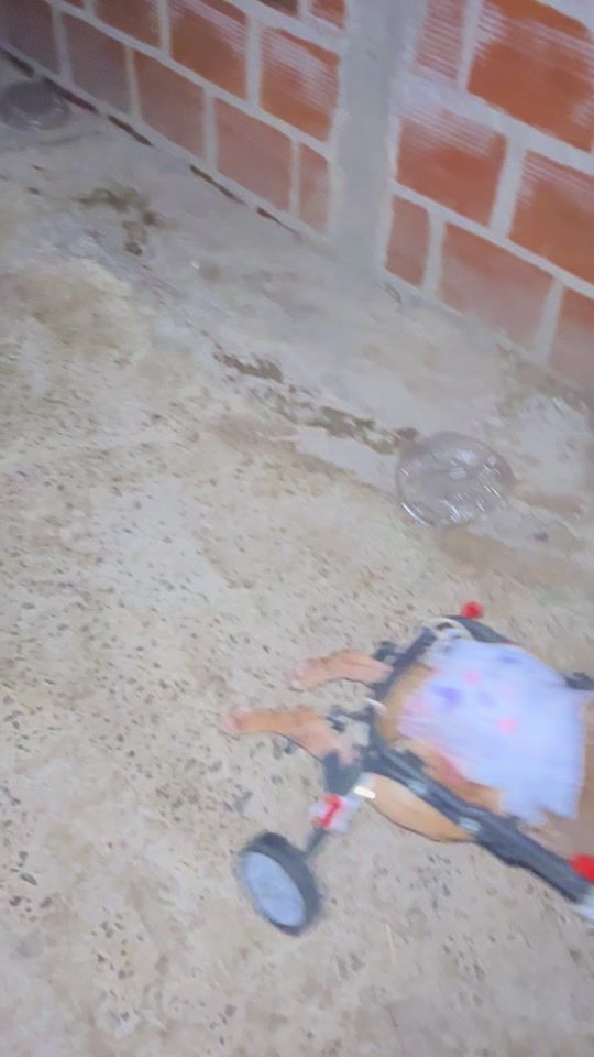 TikTok video thumbnail by discas_posadas