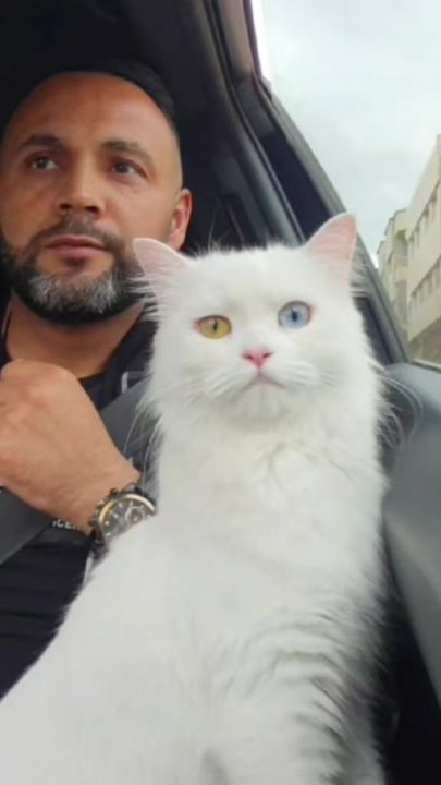 TikTok video thumbnail by salim.mecharti