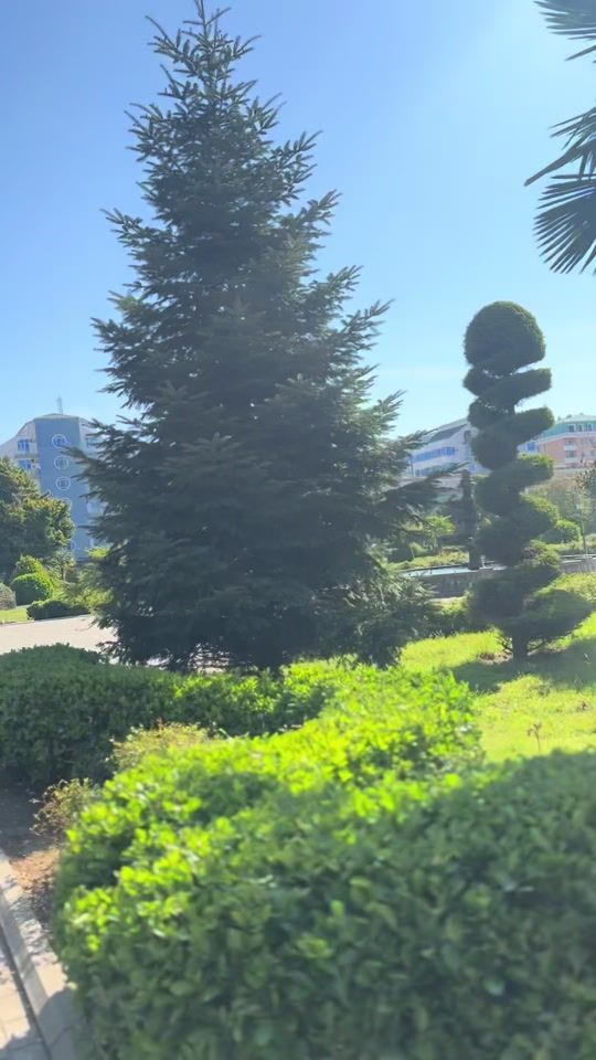 TikTok video thumbnail by _unknown_042_