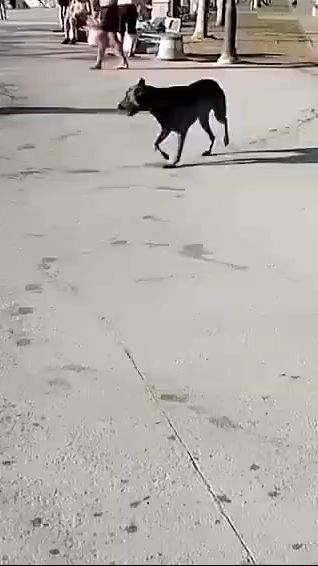 TikTok video thumbnail by bricio_bryce