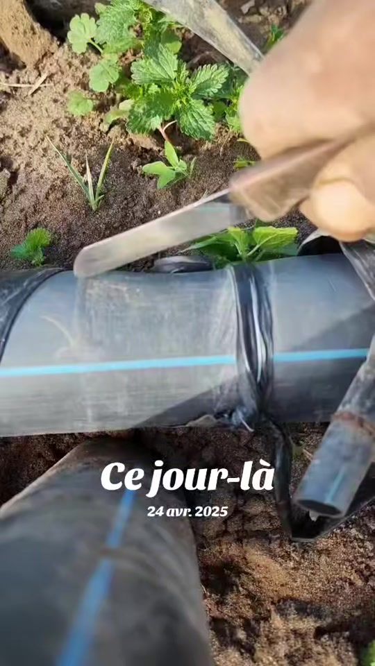 TikTok video thumbnail by hd.dz8