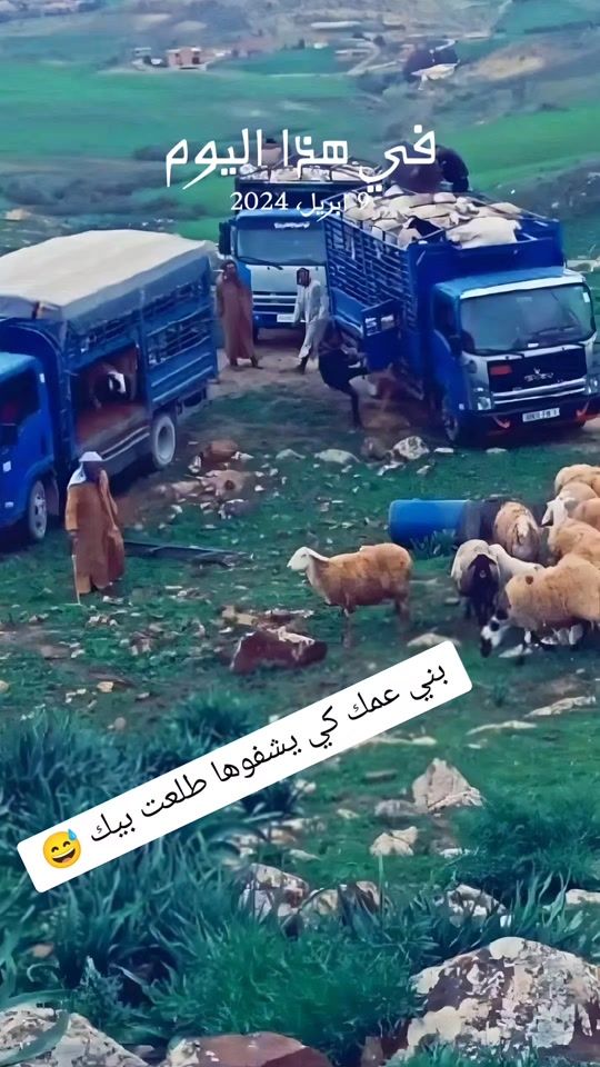 TikTok video thumbnail by aymenlayedoni