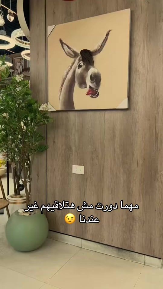 TikTok video thumbnail by gallery_kayan3