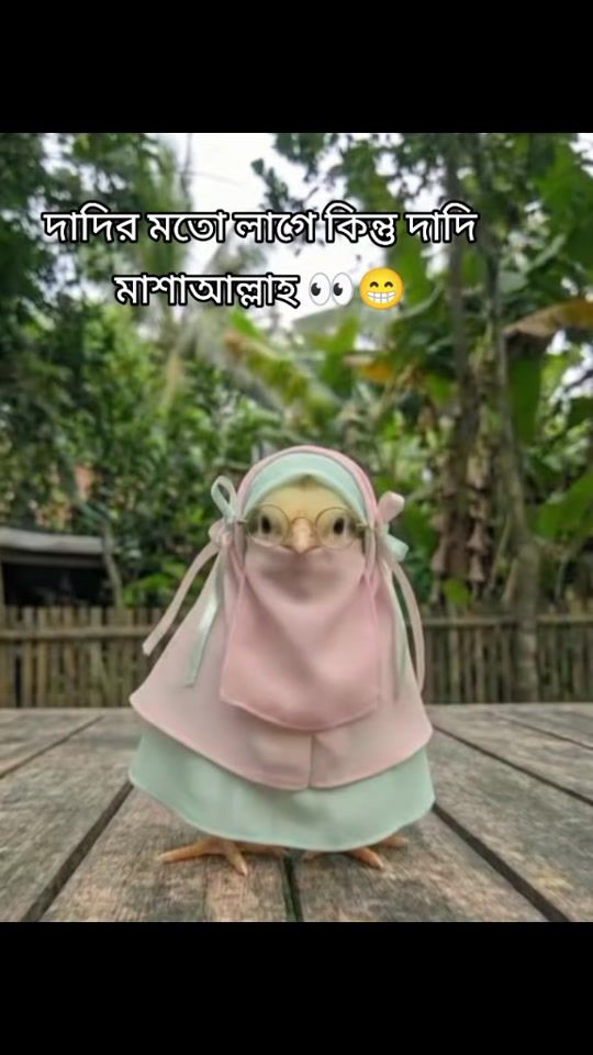 TikTok video thumbnail by queenjannat633