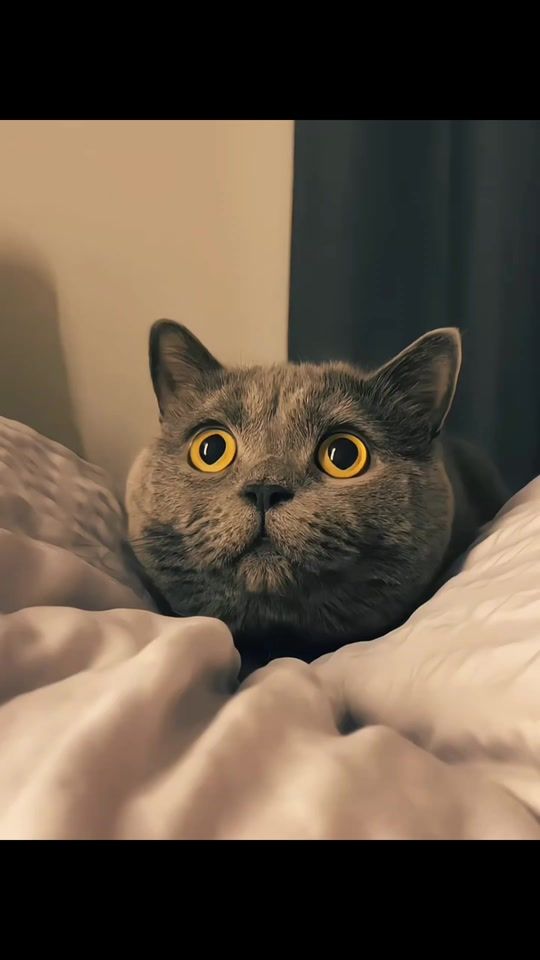 TikTok video thumbnail by photoshoot318
