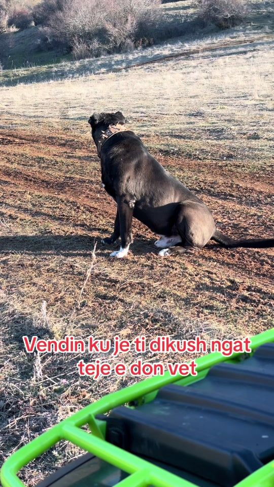 TikTok video thumbnail by ninxhaterminator