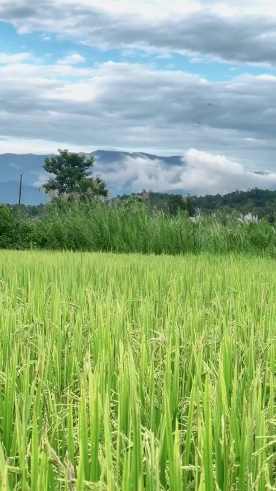 TikTok video thumbnail by santosh_officials