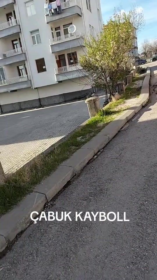 TikTok video thumbnail by enteresanahmet
