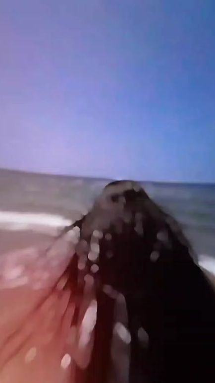 TikTok video thumbnail by tin.zar769