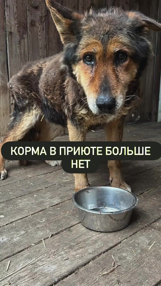 TikTok video thumbnail by rima47494