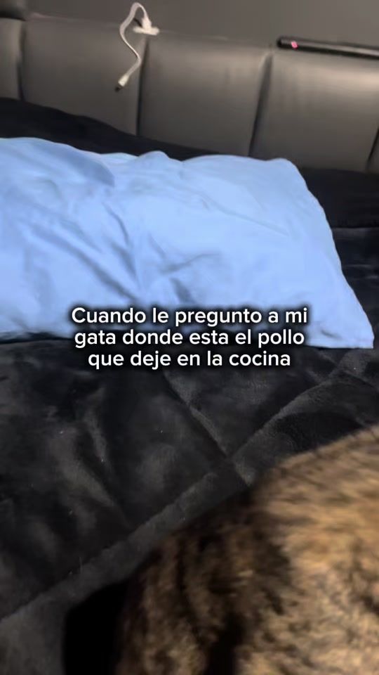 TikTok video thumbnail by brayanmayer_77