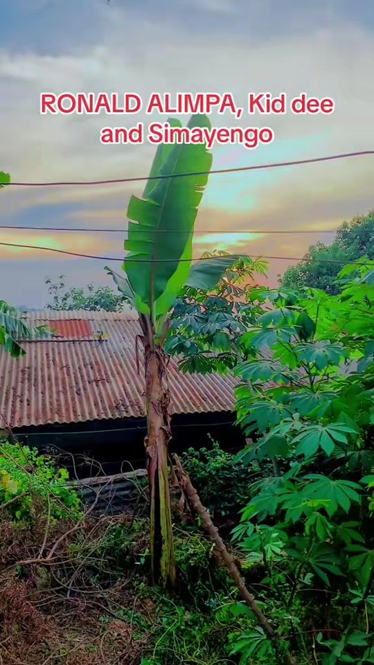 TikTok video thumbnail by simayengosteven