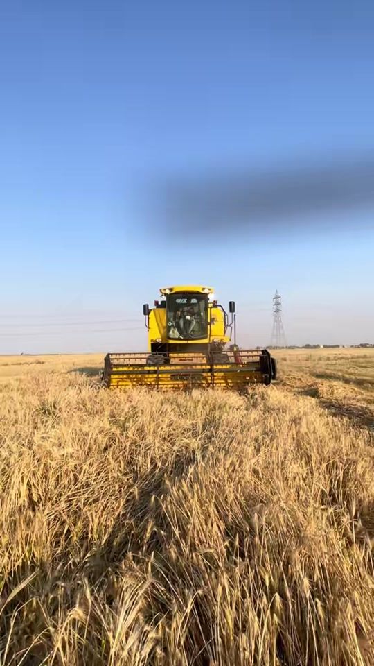 TikTok video thumbnail by wisem.alshamary