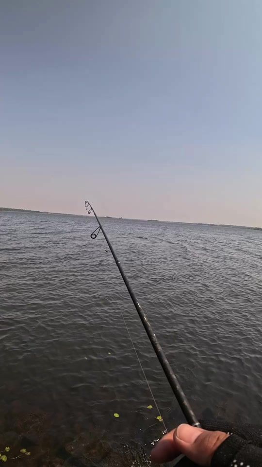 TikTok video thumbnail by _pakad