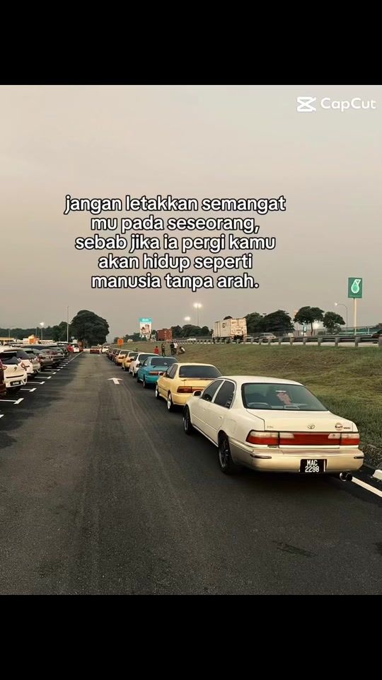 TikTok video thumbnail by amus1384