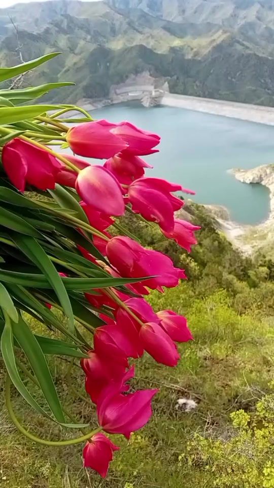 TikTok video thumbnail by famil_o57
