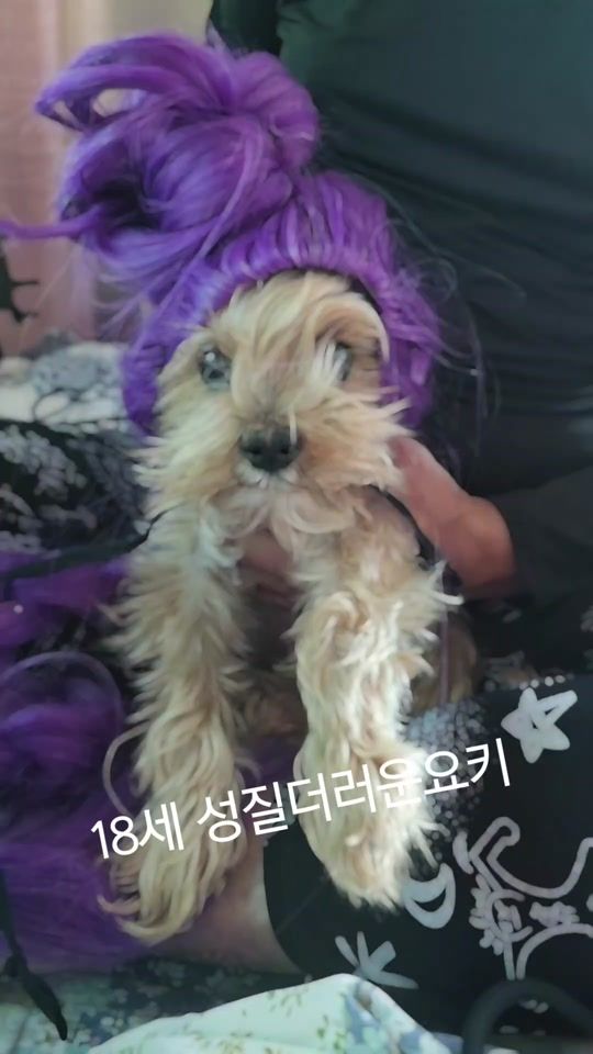 TikTok video thumbnail by yeppensh