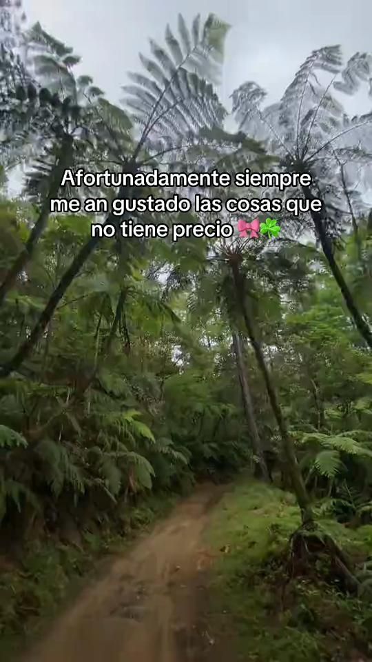 TikTok video thumbnail by luna_vargas19