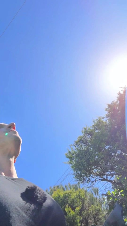 TikTok video thumbnail by a.stray.bulut