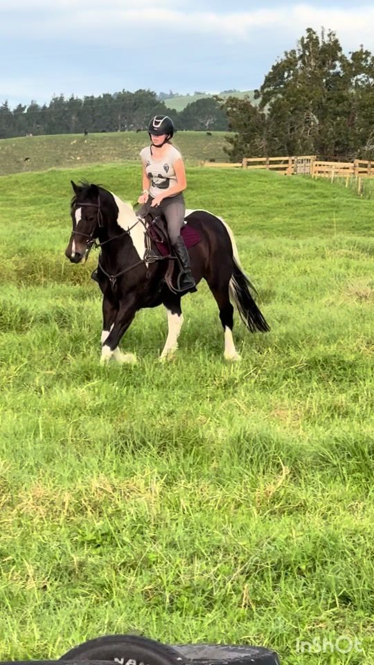 TikTok video thumbnail by gg._.equestrian