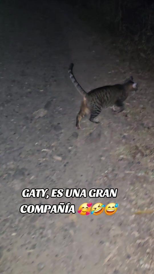 TikTok video thumbnail by profegloriacamano