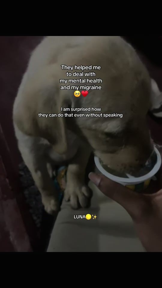 TikTok video thumbnail by _savi_s_